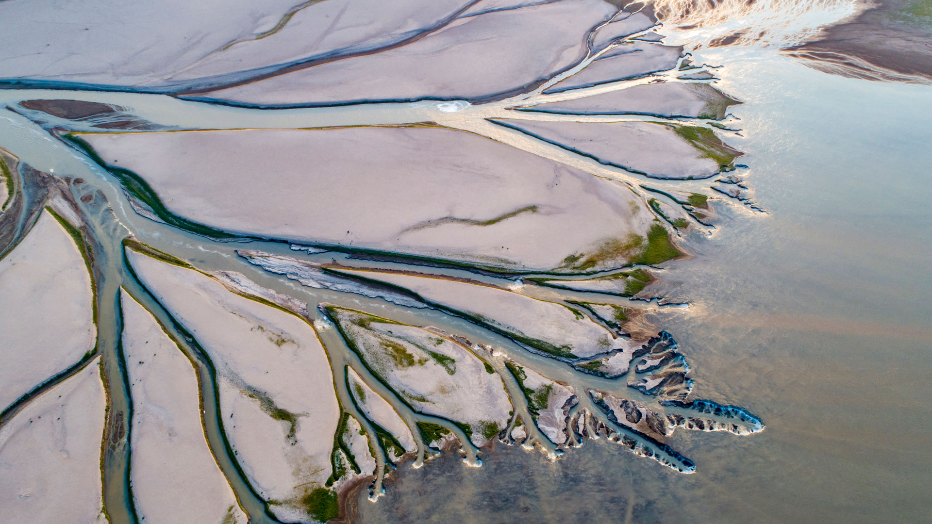 Image for Varumärkesstrategi – så bygger du ett starkt och lönsamt varumärke